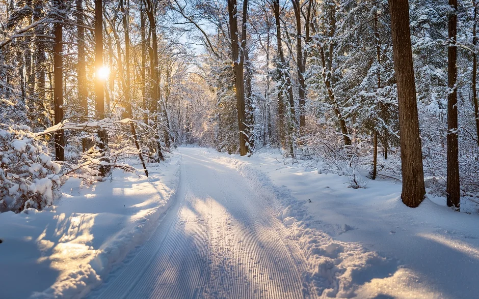 Winterwald Verschneiter Waldweg mit Sonnenlicht im Winter