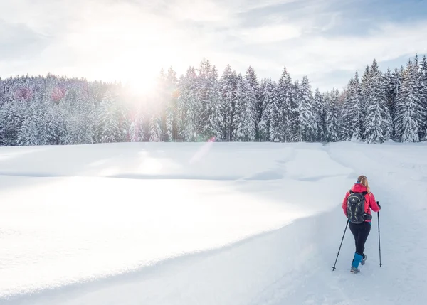 From a family business to a genuine eco- hotel