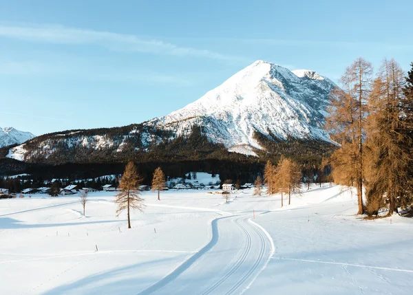 Eco-Hotel Leutascherhof, your cross-country skiing hotel in Tyrol