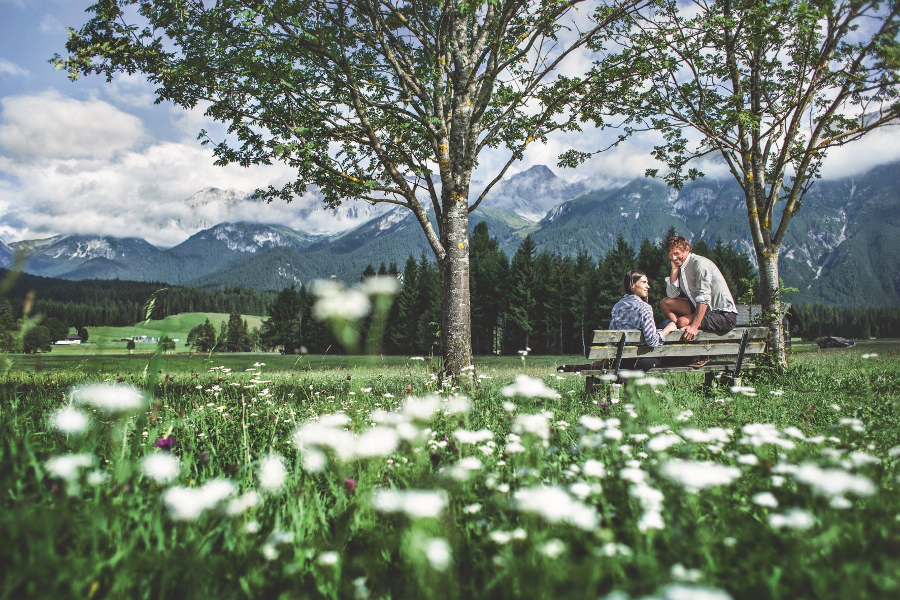 Werfen Sie einen Blick in die Bildergalerie Zwei Personen sitzen auf einer Bank in blumiger Bergwiese mit Alpen im Hintergrund