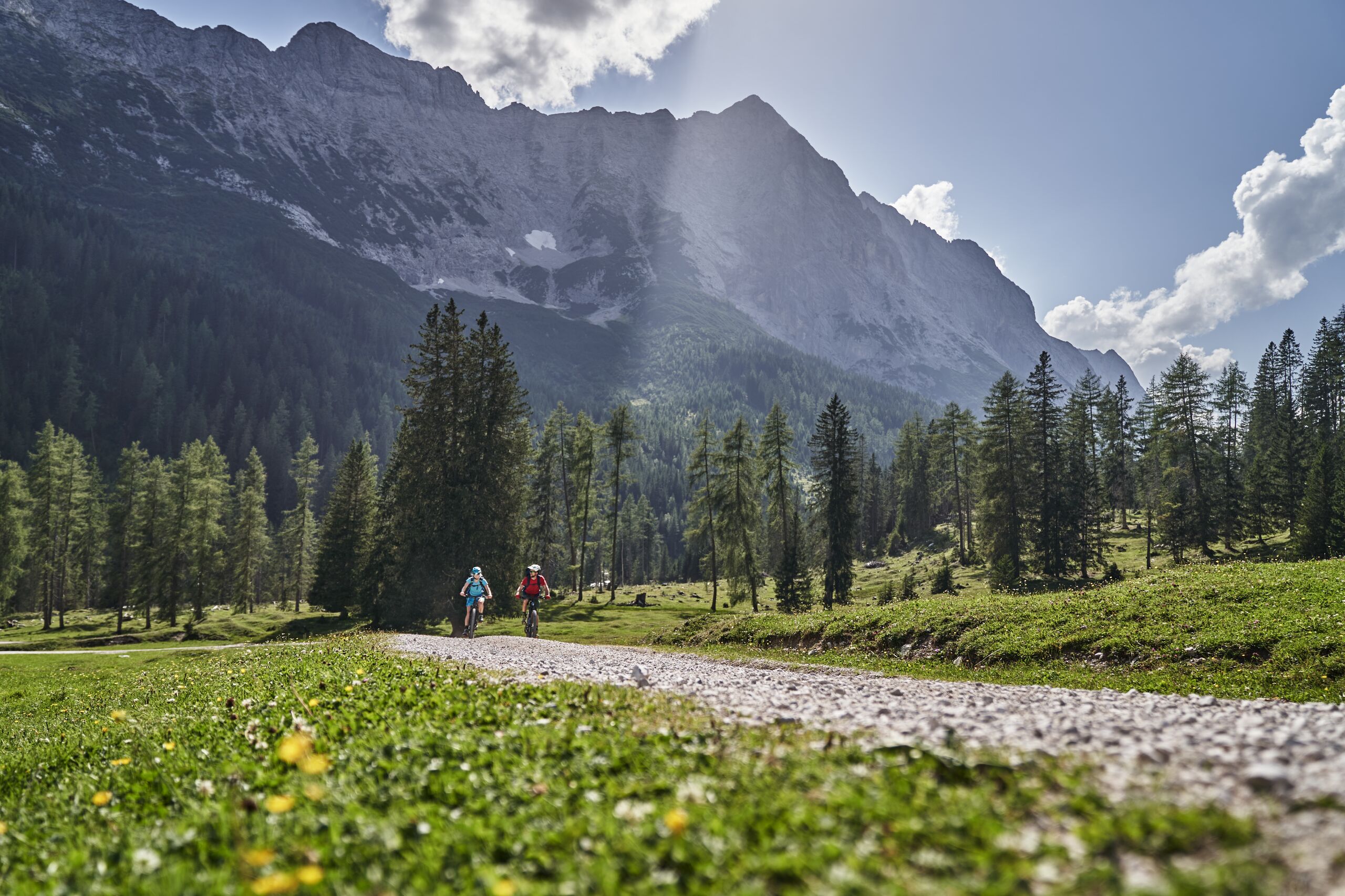 Werfen Sie einen Blick in die Bildergalerie Zwei Radfahrer auf Waldweg mit Bergpanorama und sonnigem Himmel