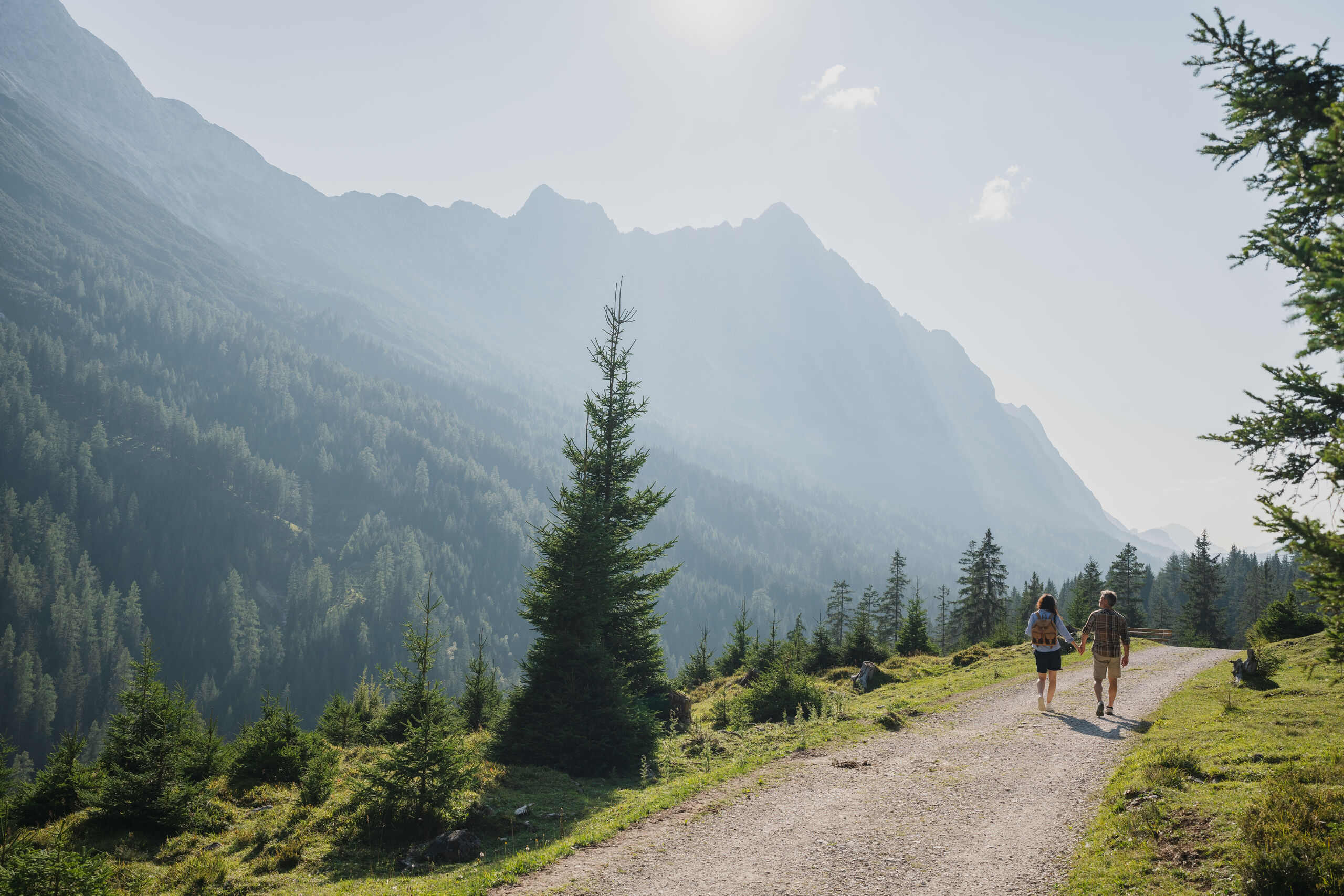 Werfen Sie einen Blick in die Bildergalerie Paar wandert auf Waldweg in bergiger Landschaft bei sonnigem Wetter