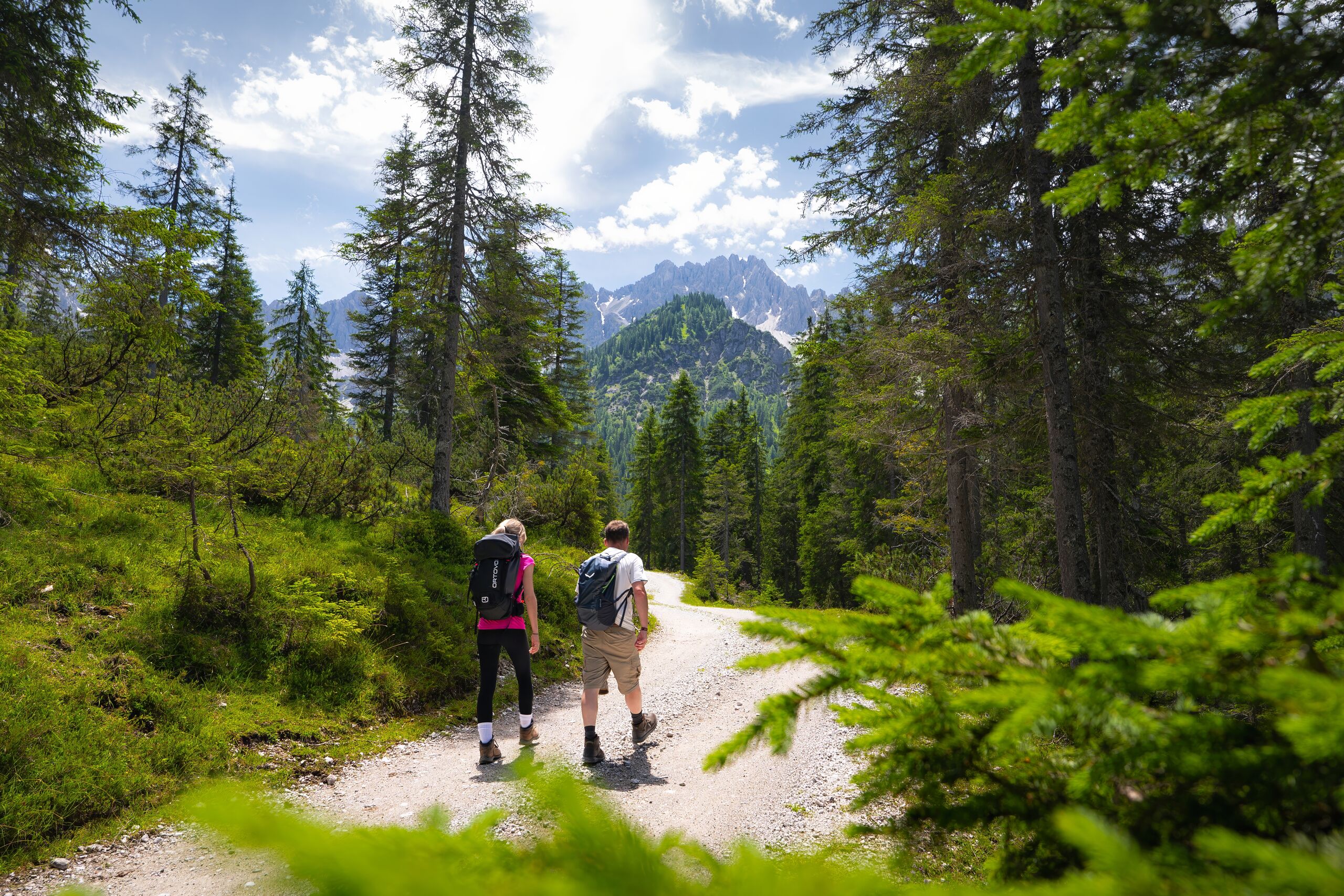 Werfen Sie einen Blick in die Bildergalerie Zwei Wanderer auf Waldweg vor Bergen unter blauem Himmel